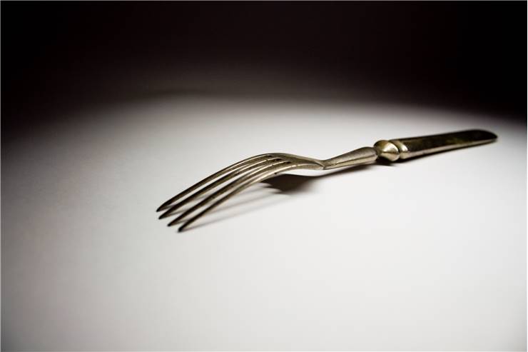 Fork Picture